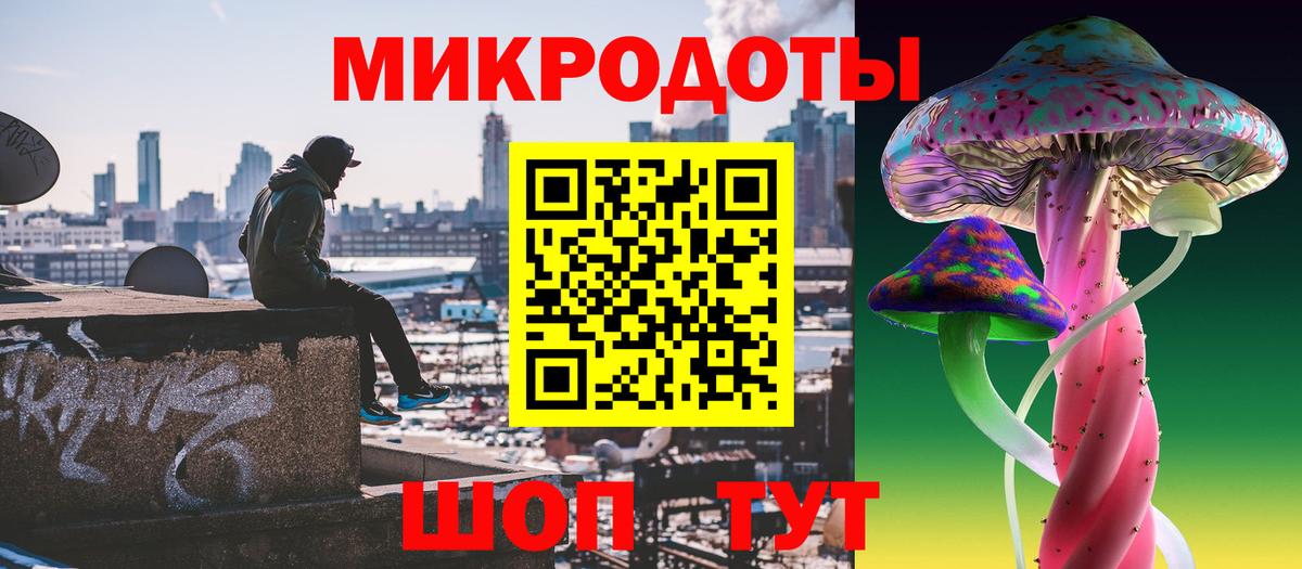 Псилоцибиновые грибы Psilocybe Джанкой